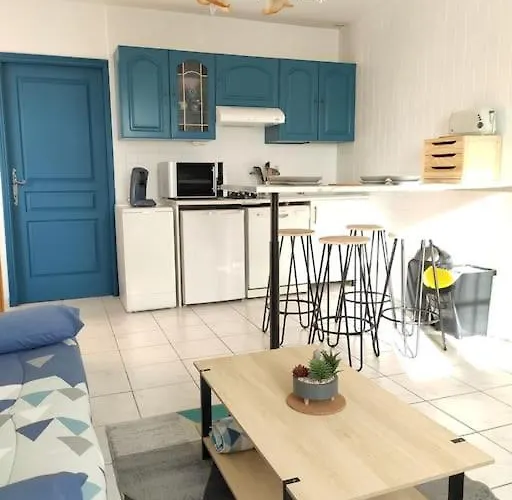 De La Tride 1 Avec Terrasse Proche Du Centre * Lectoure